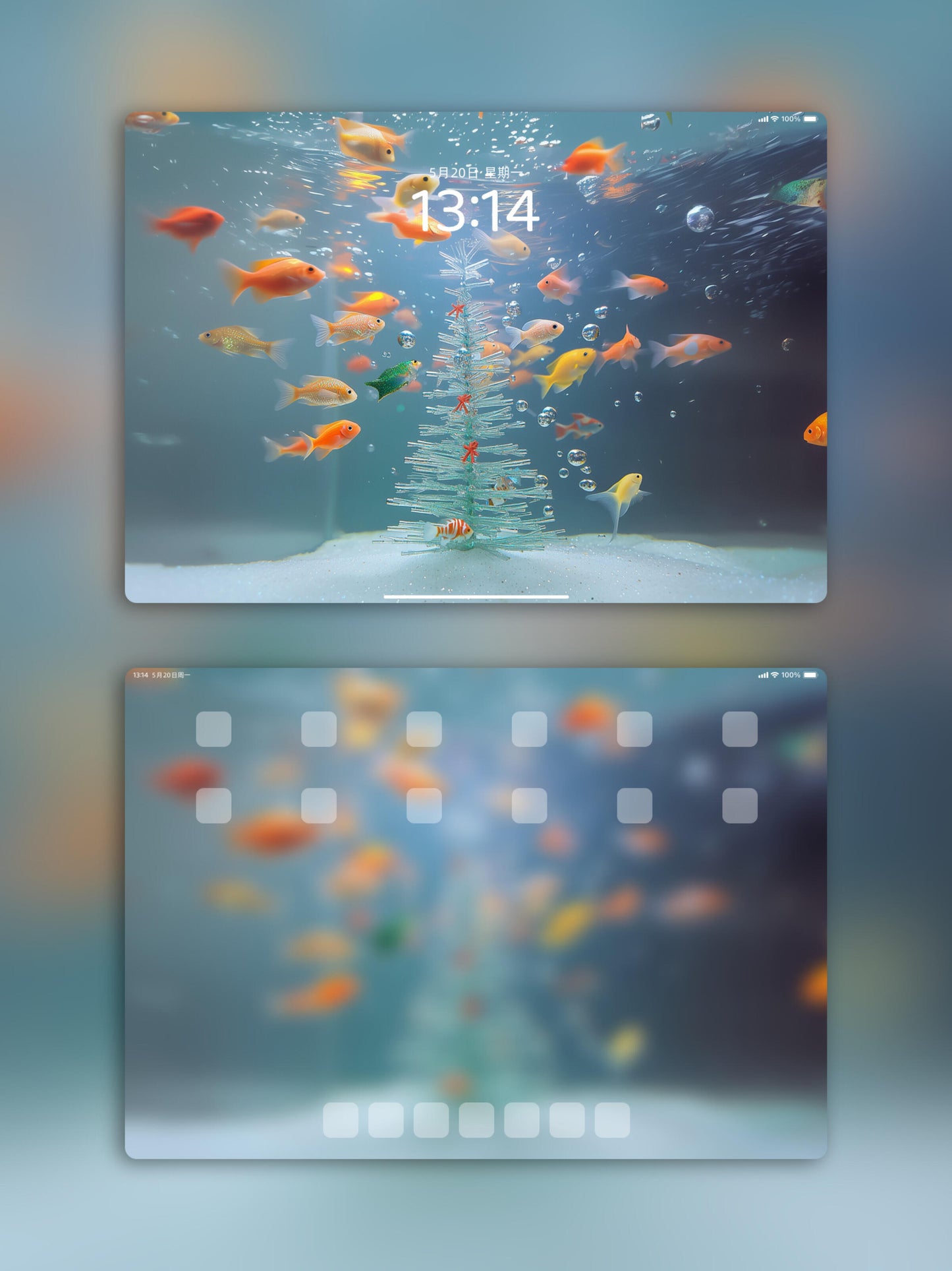 Fish wallpaper..