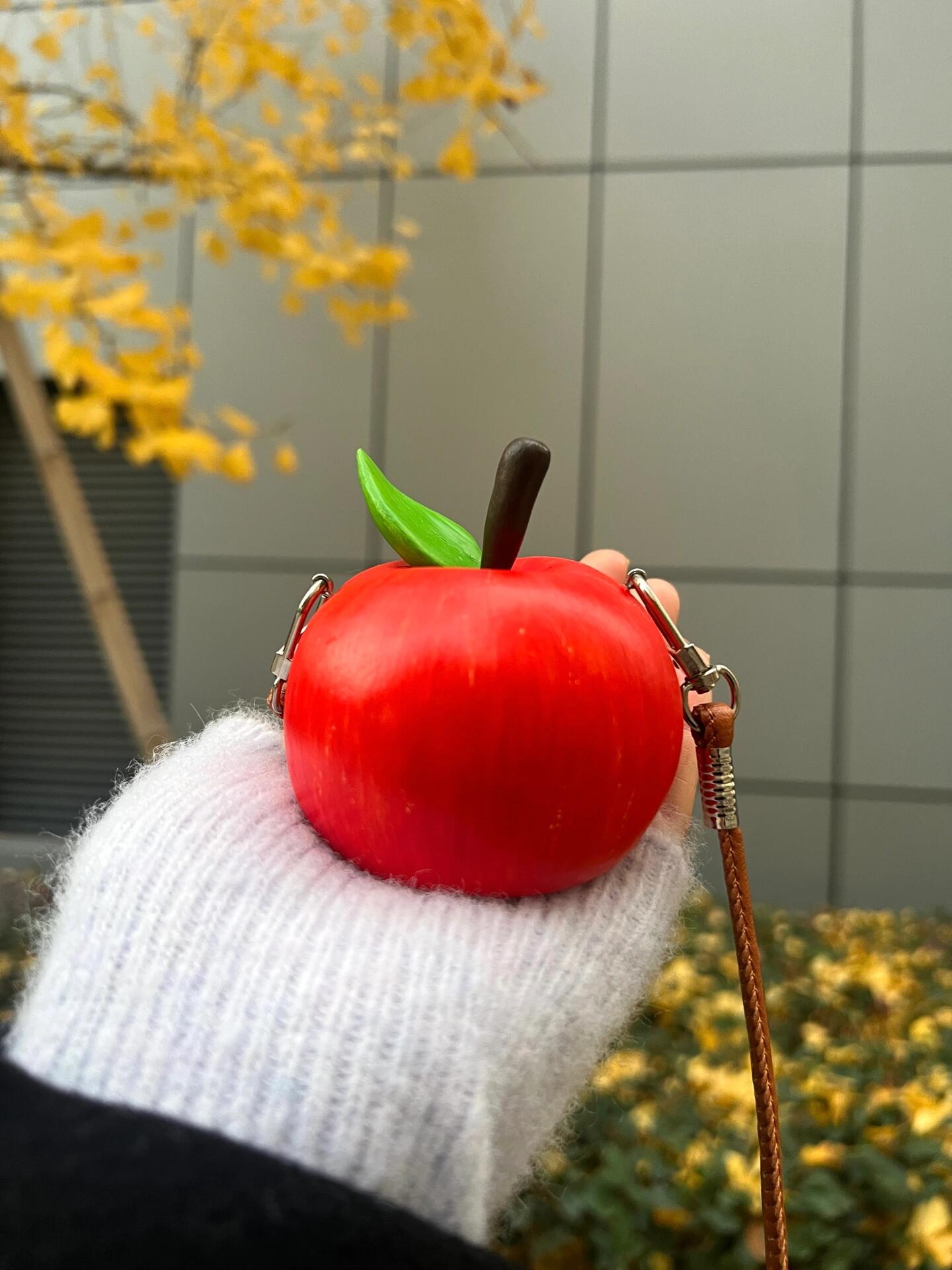 Handmade Apple bag.